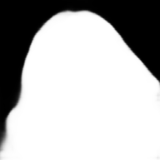 img_1701_aligned_bgmask.png