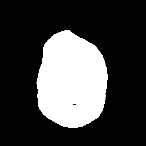 img_1701_aligned_facemask.png